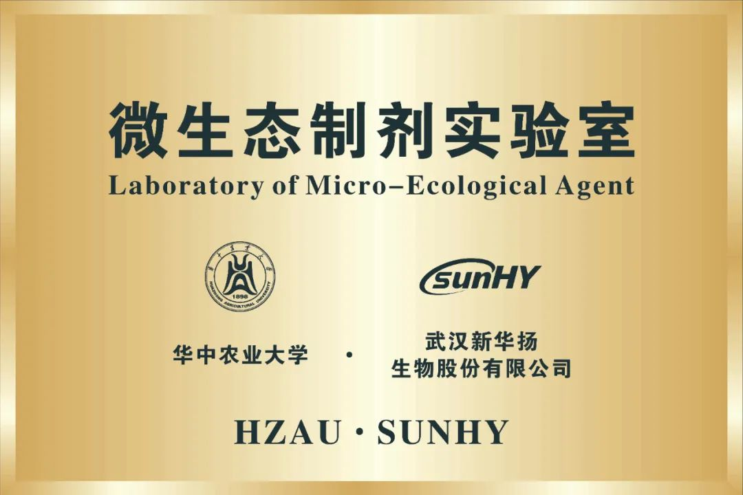 welcome-百乐博·(blb)官方网站