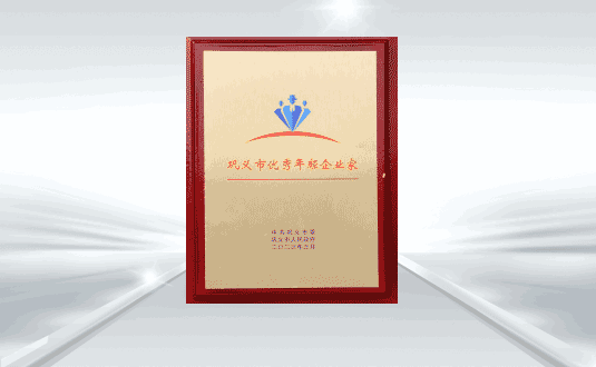 ff80808187595d1f018759a8be390011 巩义市优良年轻企业家