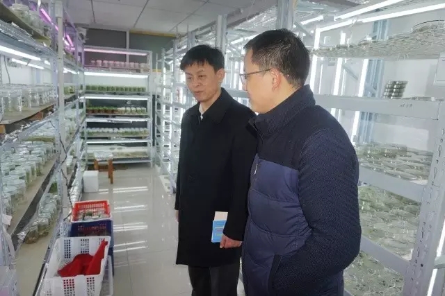 welcome-百乐博·(blb)官方网站
